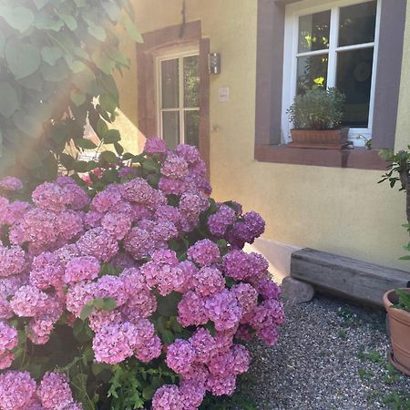 Ferienwohnung Suedliche Weinstrasse Zwischen Wald Und Reben Klingenmünster Екстериор снимка