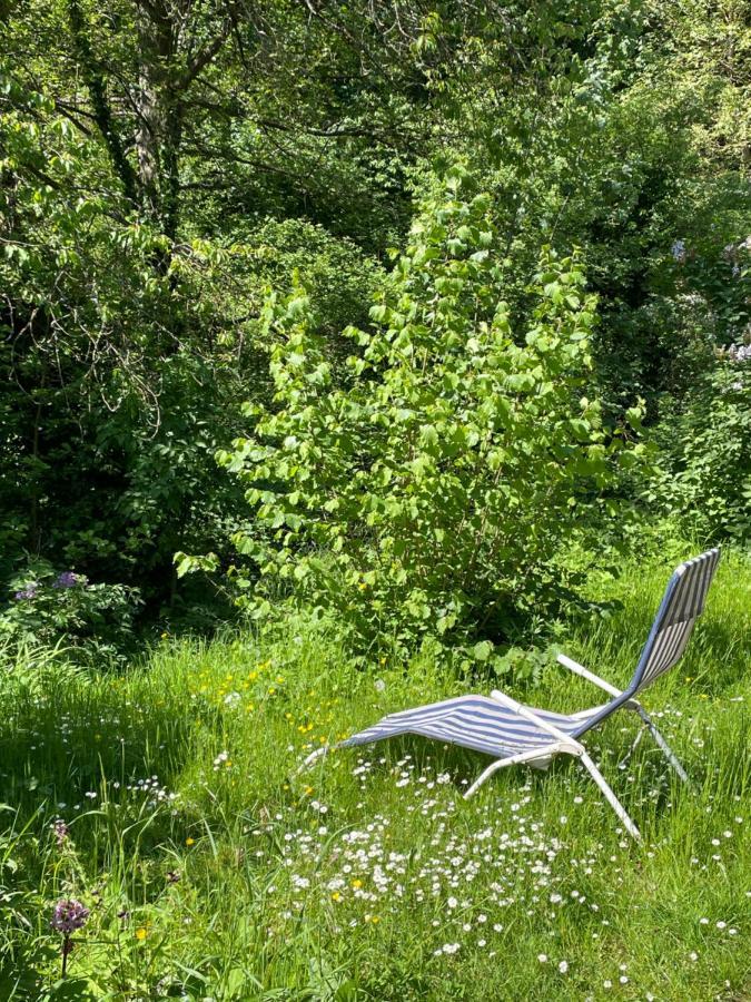 Ferienwohnung Suedliche Weinstrasse Zwischen Wald Und Reben Klingenmünster Екстериор снимка