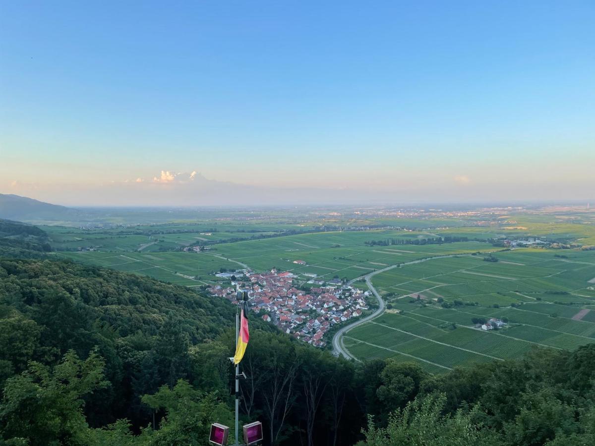 Ferienwohnung Suedliche Weinstrasse Zwischen Wald Und Reben Klingenmünster Екстериор снимка