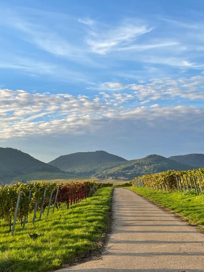 Ferienwohnung Suedliche Weinstrasse Zwischen Wald Und Reben Klingenmünster Екстериор снимка