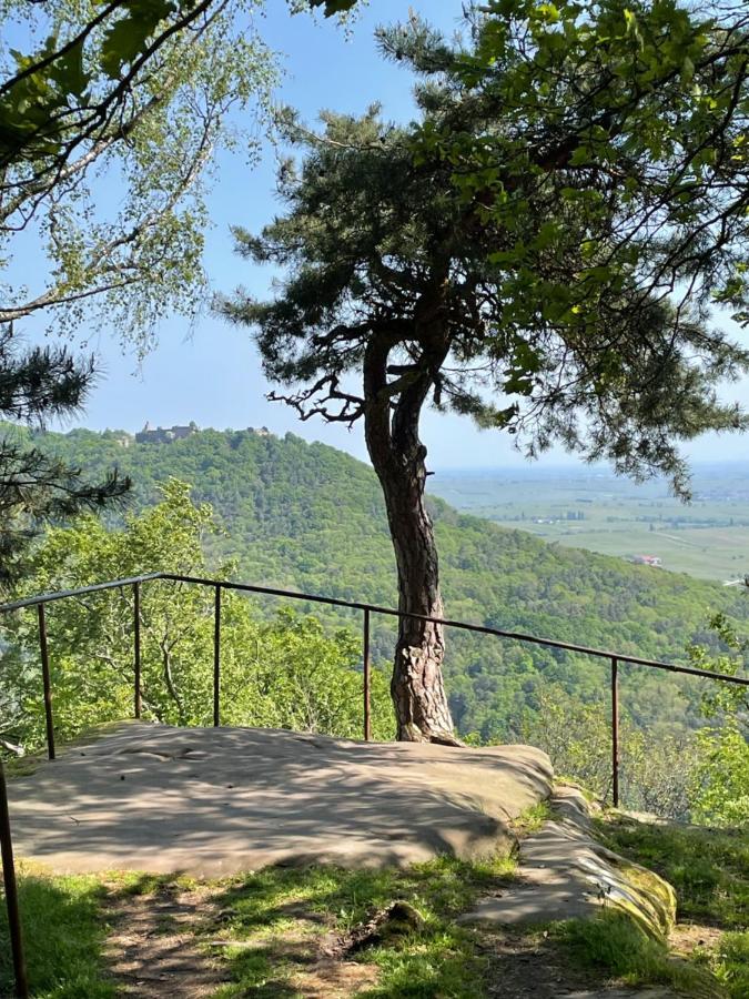 Ferienwohnung Suedliche Weinstrasse Zwischen Wald Und Reben Klingenmünster Екстериор снимка